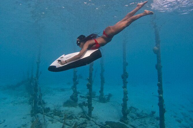 Curaçao Seabob Tugboat Adventure (Andymaxadventures Curaçao) - What Travelers Say