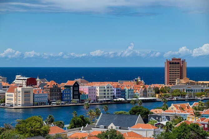 Curacao Willemstad Distilleries and Brewery Tour - Who Will Love This Tour?