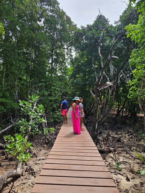 "Curieuse and St-Pierre Island Adventure: with Creole, BBQ - An In-Depth Look at the Itinerary