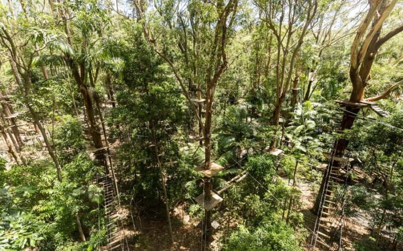 Currumbin: Treetop Challenge Adventure Park - An In-Depth Look at Currumbin’s Treetop Challenge Adventure Park