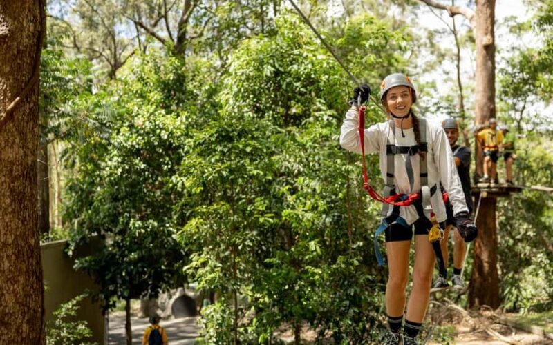 Currumbin: Treetop Challenge Adventure Park - Final Thoughts