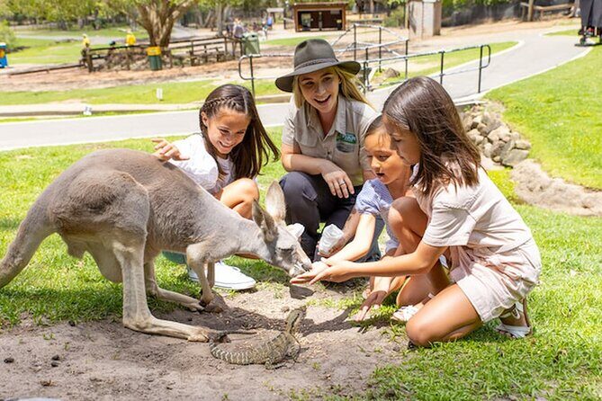 Currumbin Wildlife Sanctuary & Burleigh Heads Private Tours - An In-Depth Look at the Itinerary