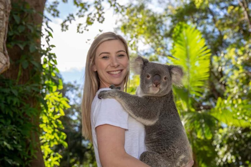 Currumbin Wildlife Sanctuary Entry Ticket - Key Points