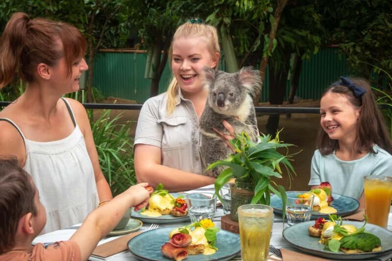 Currumbin Wildlife Sanctuary Entry Ticket - What to Expect at Currumbin Wildlife Sanctuary
