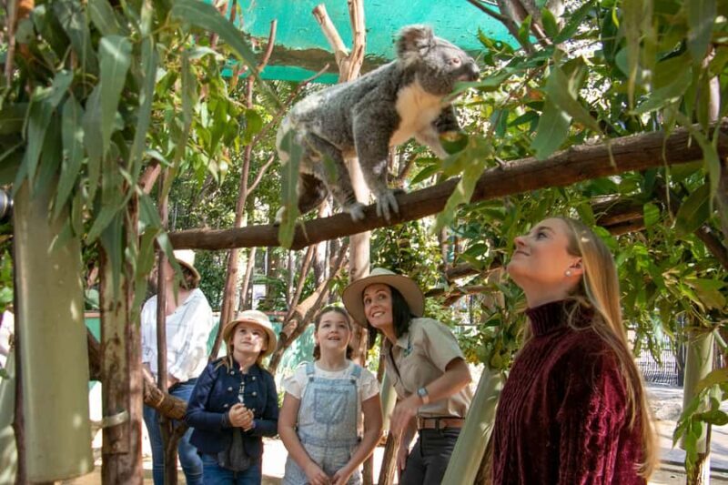 Currumbin Wildlife Sanctuary Entry Ticket - Frequently Asked Questions (FAQs)