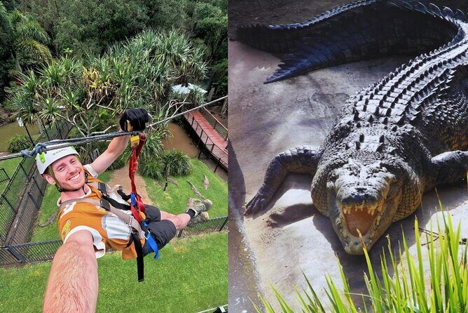 Currumbin Wildlife Sanctuary Pass + The Treetop Challenge - Value and Pricing Considerations