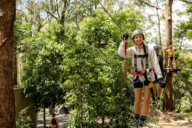 Currumbin Wildlife Sanctuary Pass + The Treetop Challenge - Practical Tips for Your Day
