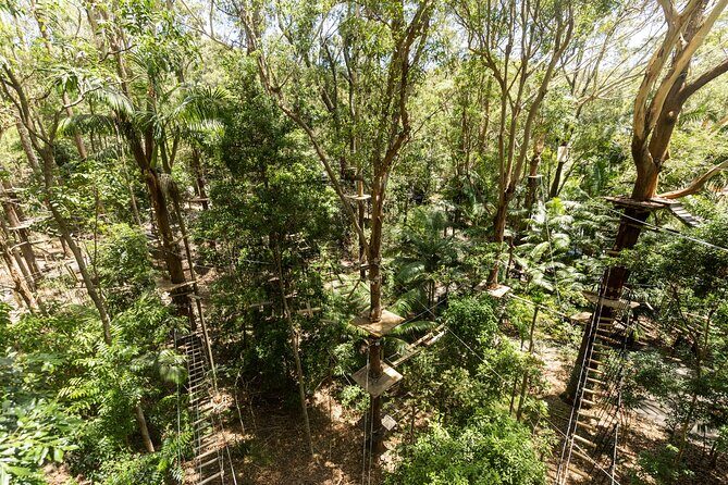 Currumbin Wildlife Sanctuary Pass + The Treetop Challenge - The Sum Up