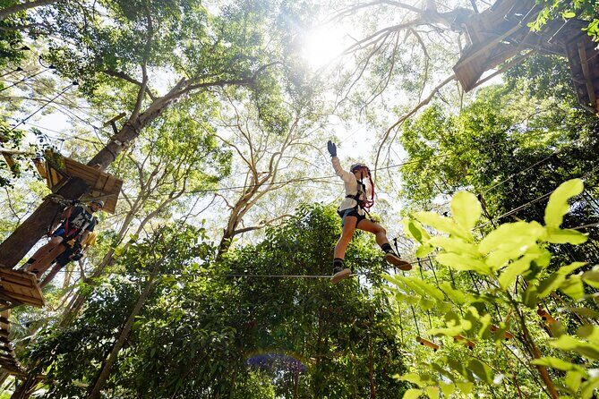 Currumbin Wildlife Sanctuary Pass + The Treetop Challenge - Frequently Asked Questions