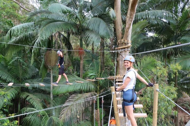Currumbin Wildlife Sanctuary & TreeTop Challenge Combo - Key Points