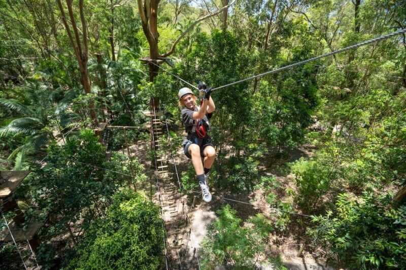 Currumbin Wildlife Sanctuary & TreeTop Challenge Combo - Starting at Currumbin Wildlife Sanctuary