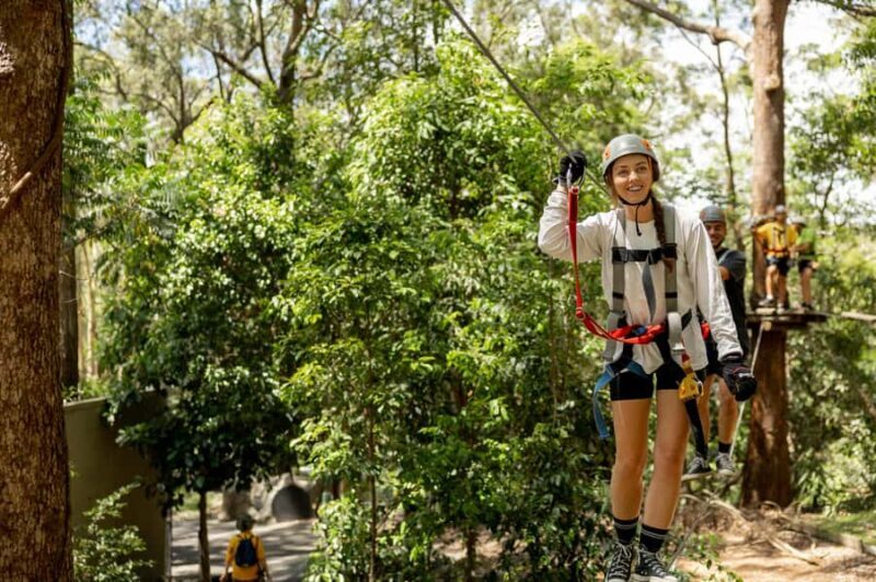 Currumbin Wildlife Sanctuary & TreeTop Challenge Combo - Post-Adventure Wildlife Exploration