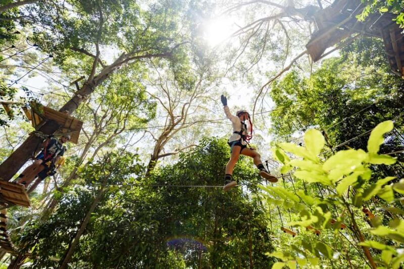 Currumbin Wildlife Sanctuary & TreeTop Challenge Combo - Practical Details and Tips