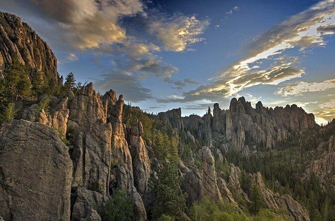 Custer State Park Wildlife Loop and Needles Highway Shared Tour - Analyzing the Value