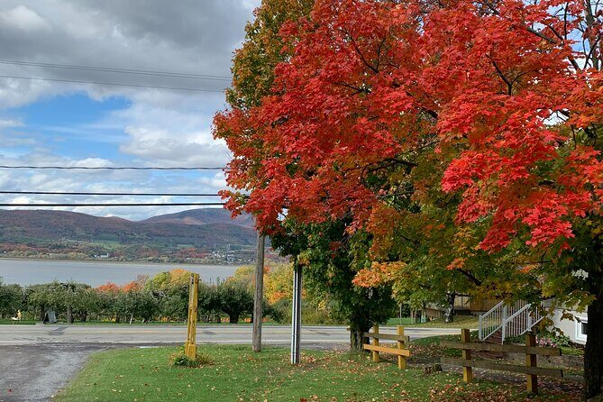 Custom 4 Hour Tour with a Private Driver in Quebec - The Itinerary in Detail: What to Expect
