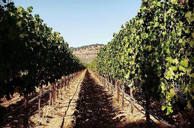 Custom 6-Hour Napa Valley Wine Tour in a Luxury Vehicle - FAQ