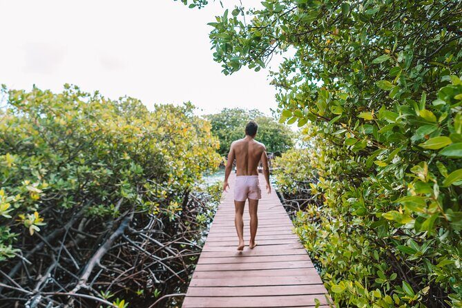 Custom Full-Day Private Adventure: Snorkel & Explore Hidden Spots - FAQ