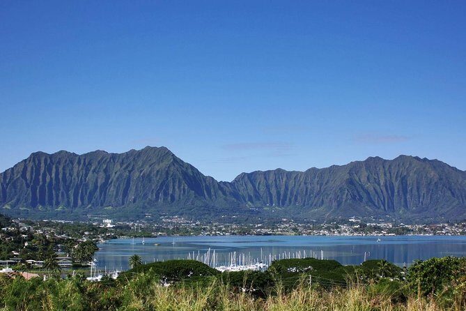 Custom Island Tour - for 6 to 14 people - up to 8 hours - Private tour of Oahu - Who Is This Tour Best For?