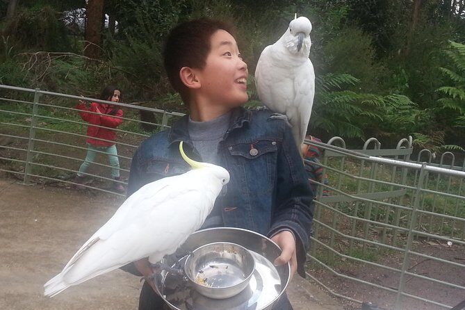 Custom Private Day Tour Melbourne to all surrounding areas for up to 11 people - The Sum Up