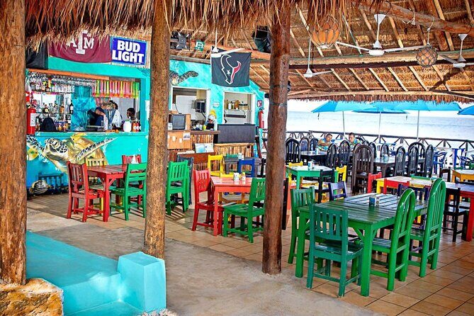 Custom Private Guided Cozumel Island Tour - Who This Tour Is Perfect For