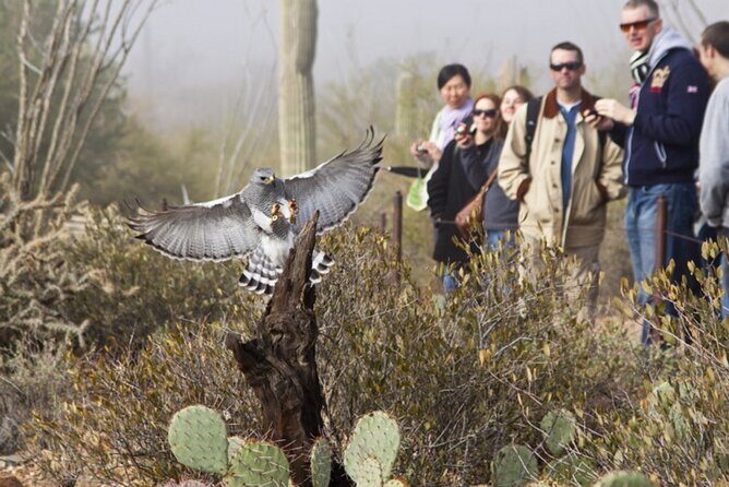 Custom Tucson Day Tour from Phoenix - The Value of a Custom Tour