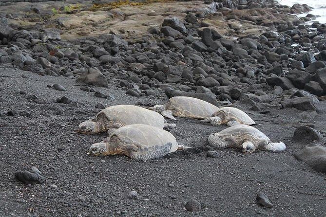 Custom Volcanoes National Park Tour with extra stops - A Closer Look at the Itinerary