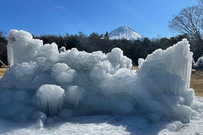 Customisable Mt.Fuji Private Day Trip, English Speaking Driver - Who Will Love This Tour?