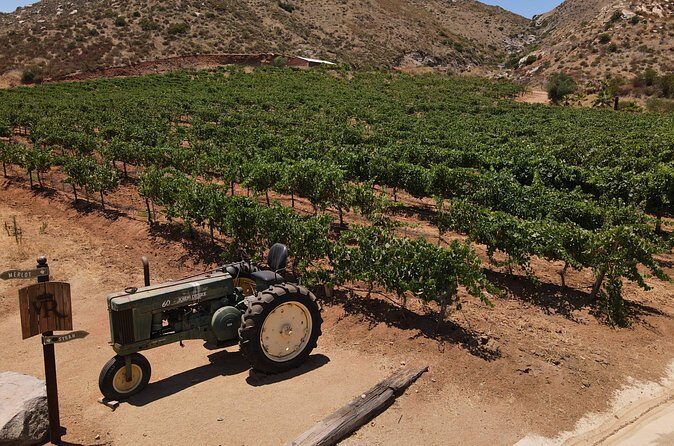 Customizable Guadalupe Wine Valley Tour - Who Should Book This Tour?