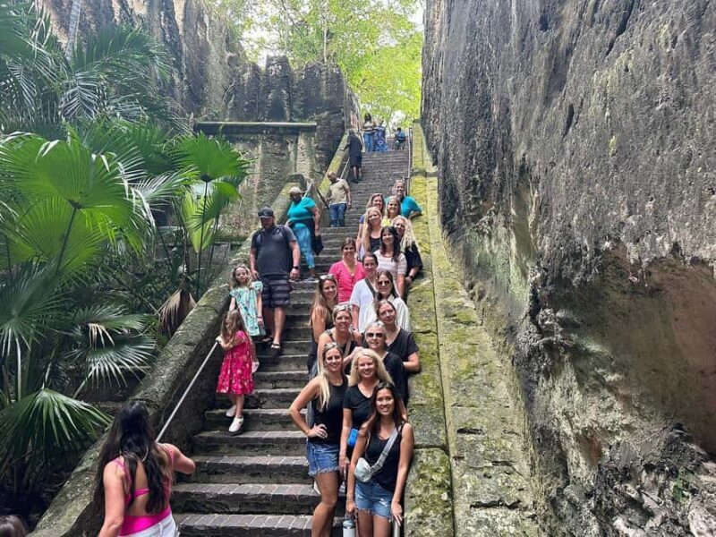 Customizable half day group tour (price per vehicle) - Key Points