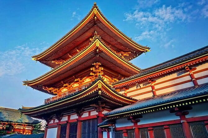 Customizable Tokyo Tour - The Value of a Personalized Guide
