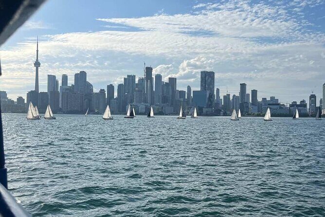 Customizable Walking Tour of Toronto's Hidden Gems - Who Should Consider This Tour?