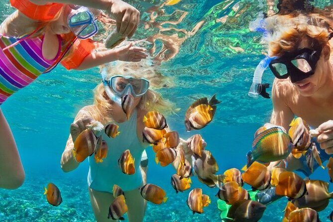Customize Snorkeling with Option shopping Lunch & Stop local food - Convenient Pickup and Transportation