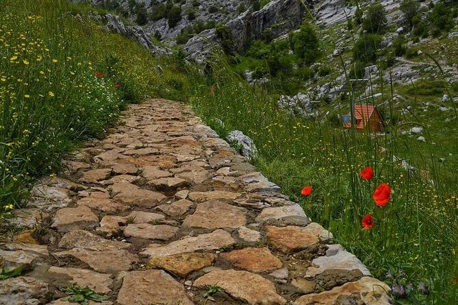 Customized as you like day tour in lebanon anywhere from 1-6 riders same price - Who Would Love This Tour?