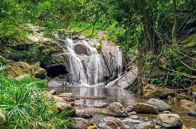 Customized Multi-Day Private Tour Packages in Sri Lanka - The Experience and Reviews