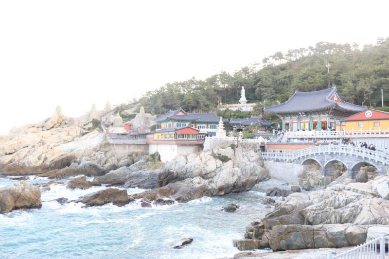customized private Busan tour with licensed agency and guide - A Practical Look at the Tour