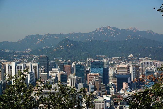 Customized Private Seoul tour: Palace, Market etc(Airport Option) - A Deep Dive Into What This Tour Offers