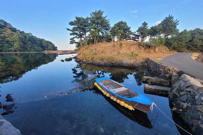 Customized private tour in Jeju island - A Deep Dive into the Jeju Private Tour Experience