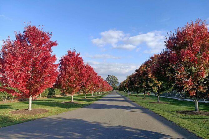 Customized private winery day tour in Yarra Valley at your own choices - The Joys of a Fully Customized Day in Yarra Valley