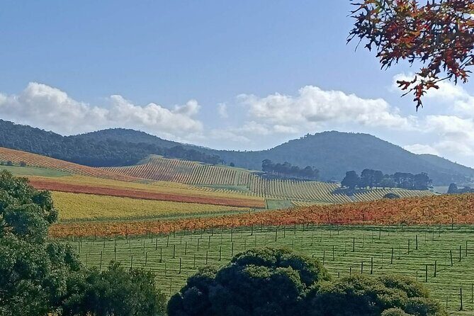 Customized private winery day tour in Yarra Valley at your own choices - Who Should Consider This Tour?