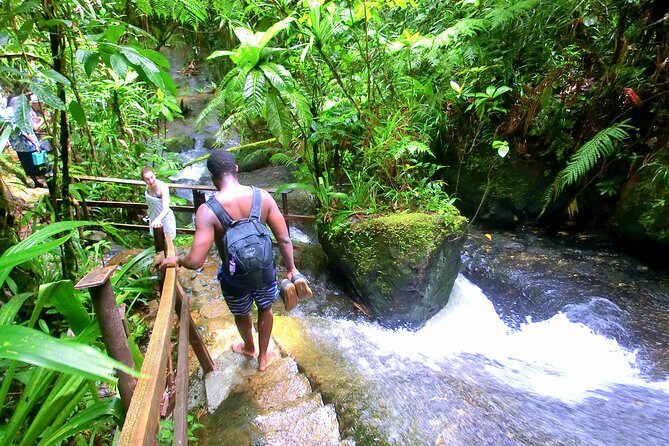 Customized Suva day tour - Key Points