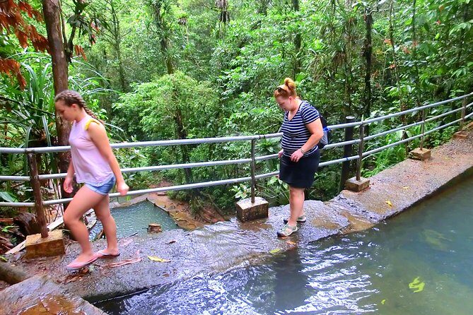 Customized Suva day tour - Value and Practicality