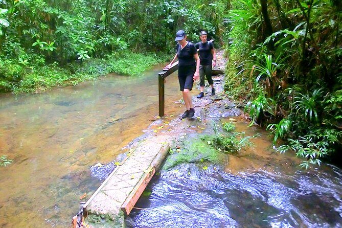 Customized Suva day tour - Final Thoughts