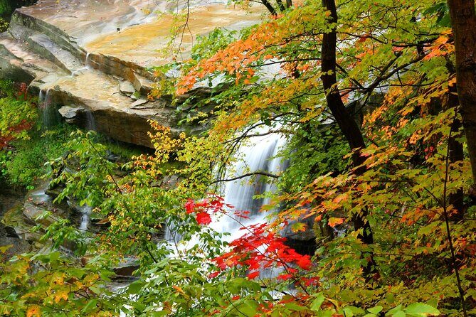 Cuyahoga Valley National Park Self-Guided Audio Tour - Exploring Cuyahoga Valley National Park with a Self-Guided Audio Tour