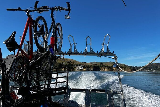 Cycle Ferry, Dunedin Harbour Cycle Trail - An In-Depth Look at the Dunedin Harbour Cycle Loop