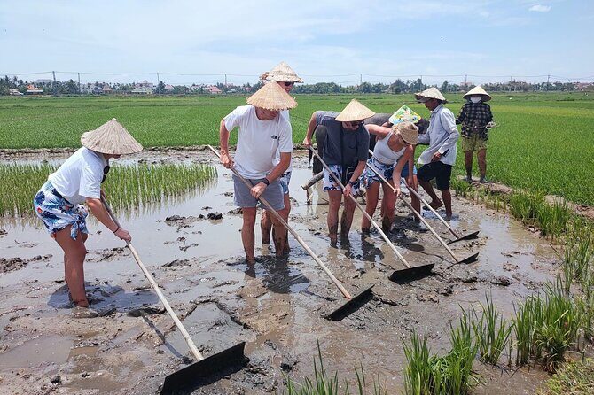Cycling, Buffalo Ride and Basket Boat Tour in Hoi An - An In-Depth Look at the Tour Experience