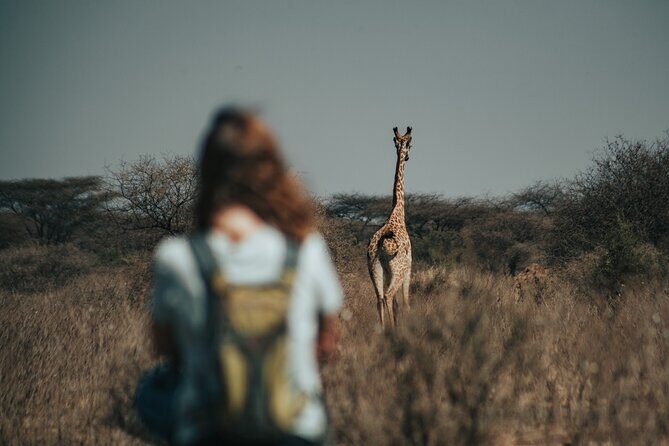 Cycling from Kilimanjaro to Ngorongoro Crater - A Closer Look at the Itinerary