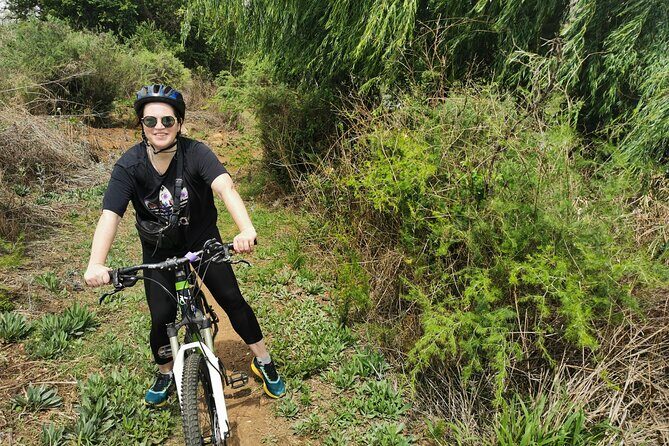 Cycling in a Forest close to Johannesburg and Pretoria - An In-Depth Look at the Forest Cycling Tour