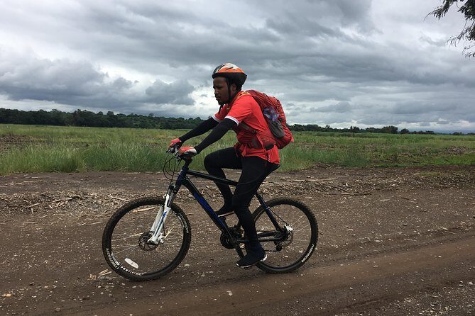 Cycling through the TPC plantations - Final Thoughts: Is it Worth It?