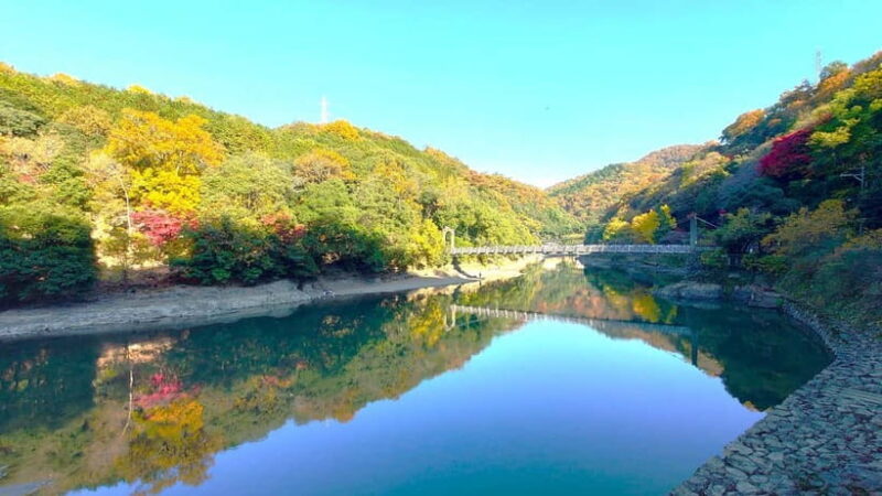Cycling Tour at Uji's Matcha Green Tea Fields and Heritage - Detailed Itinerary Breakdown