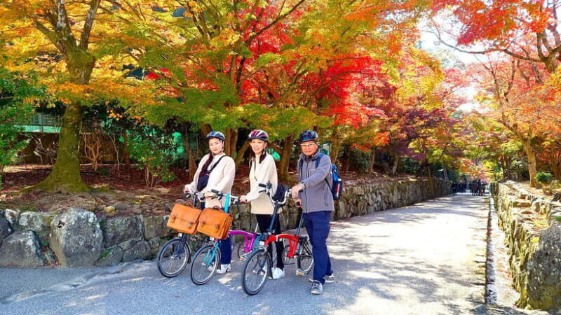 Cycling Tour at Uji's Matcha Green Tea Fields and Heritage - What to Expect During the Tour